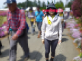 ウォーキング大会